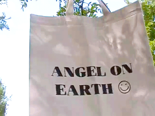 Angel On Earth Tote